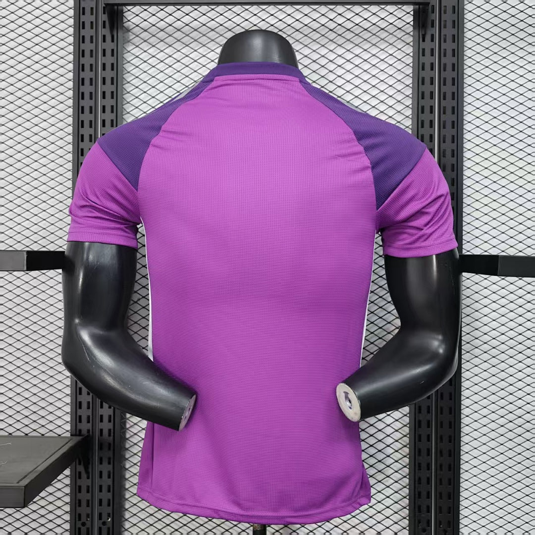 Argentina Player Version Soccer Jersey