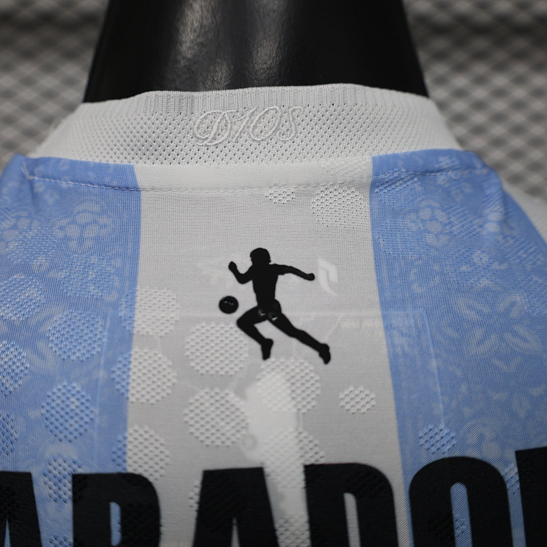 Argentina Player Version Soccer Jersey Special Edition