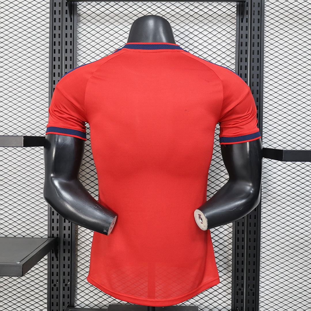 Spain Player Version Soccer Jersey Special Edition