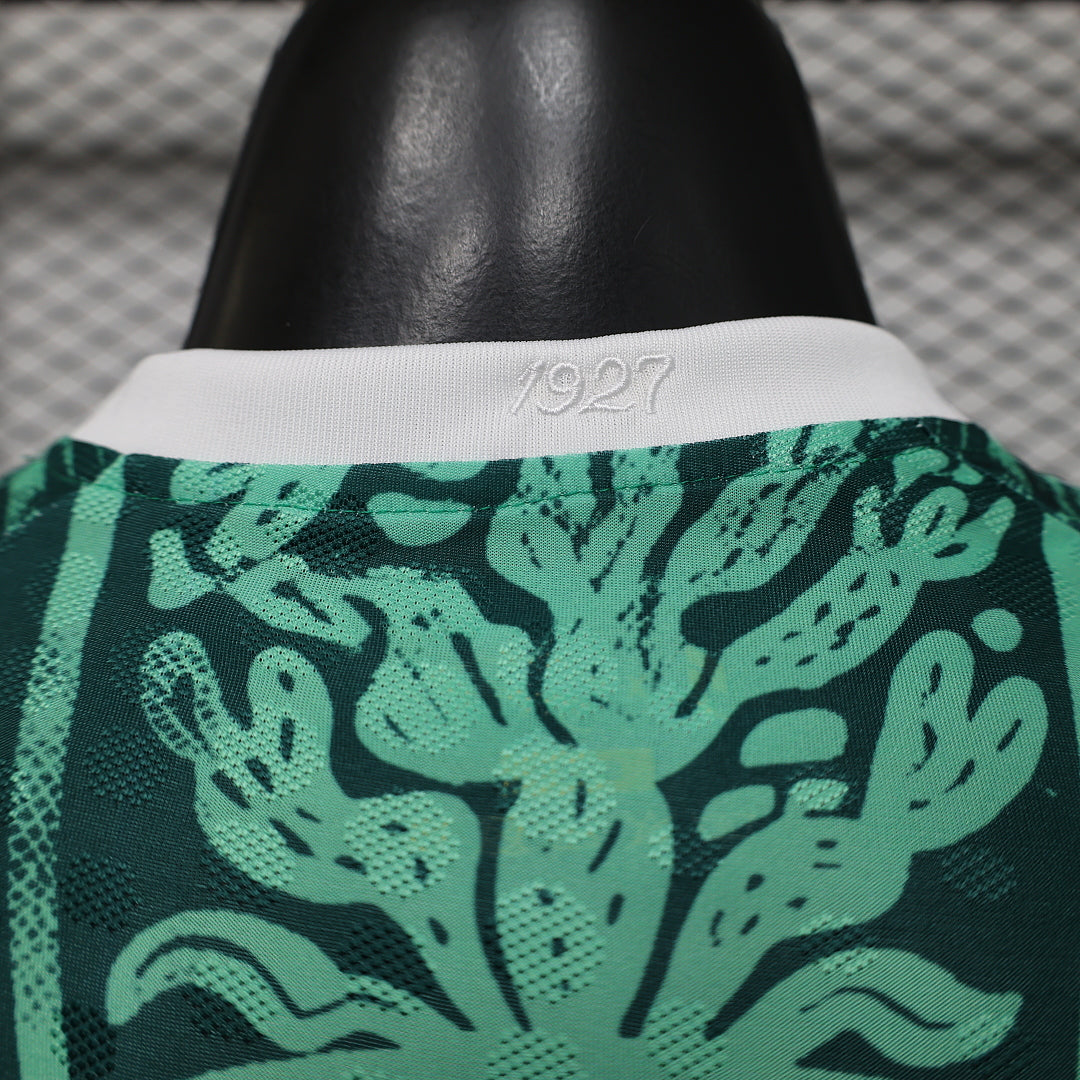 Mexico Soccer Jersey Special Edition