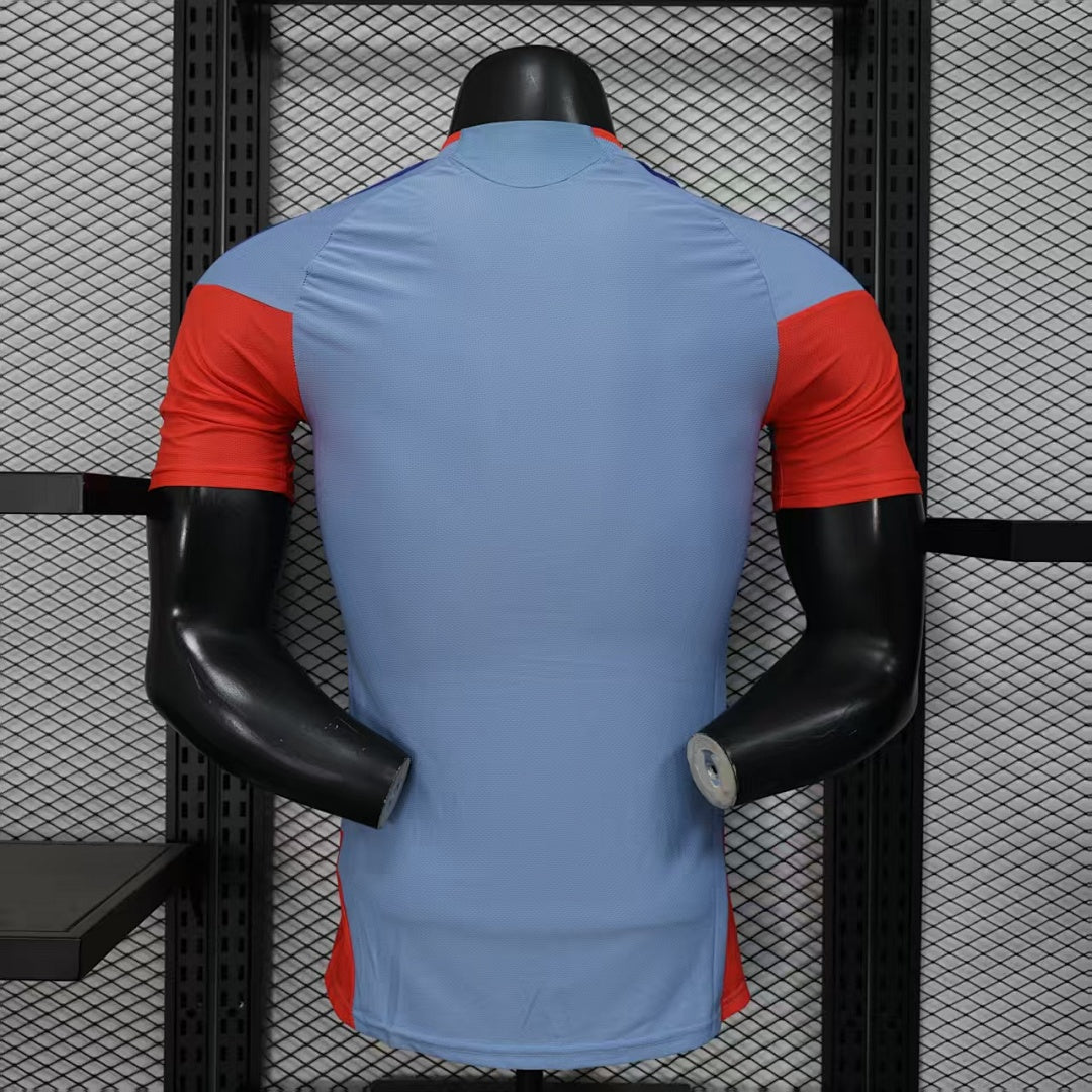 Japan Away Player Version Soccer Jersey