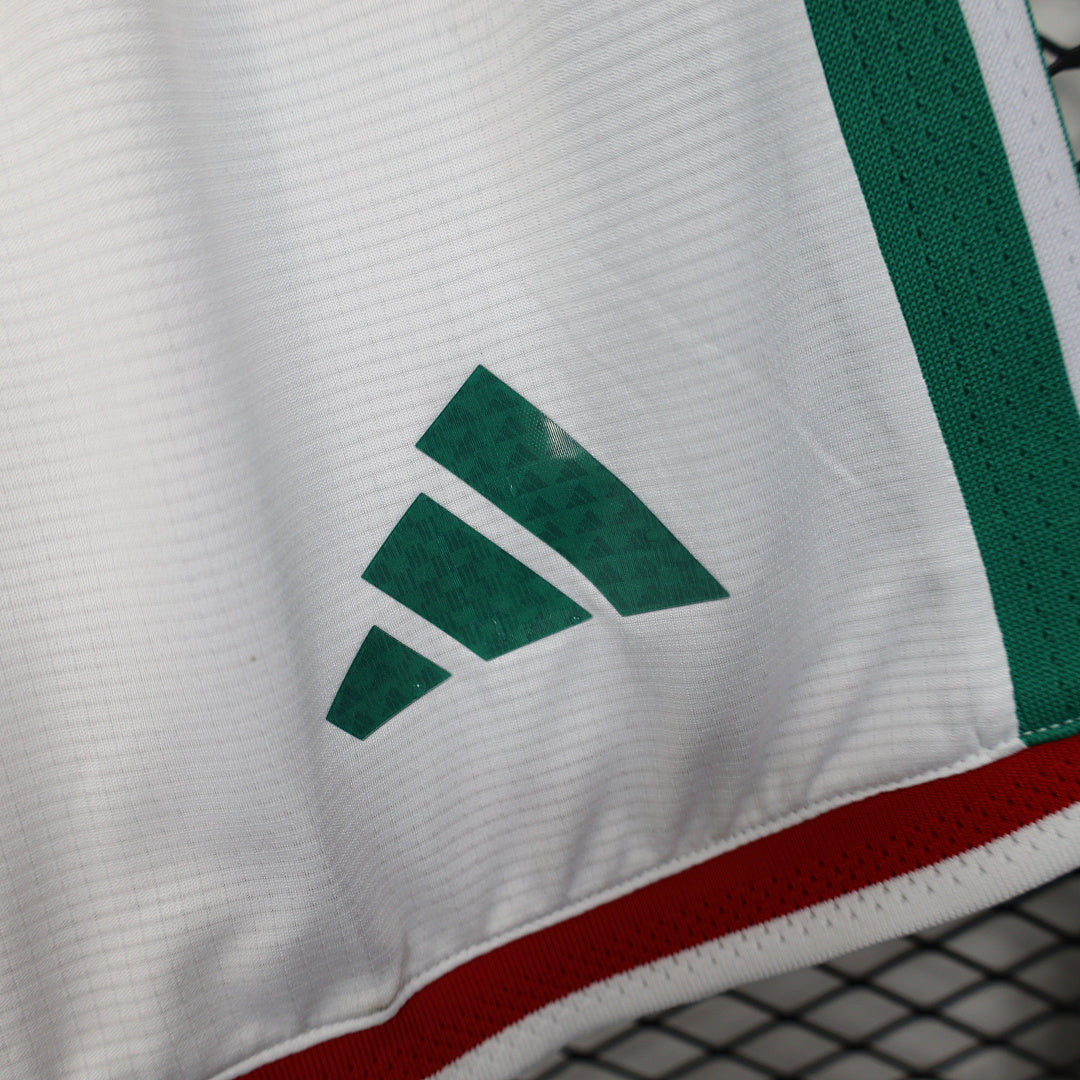 Mexico Player Version Soccer Shorts Shorts