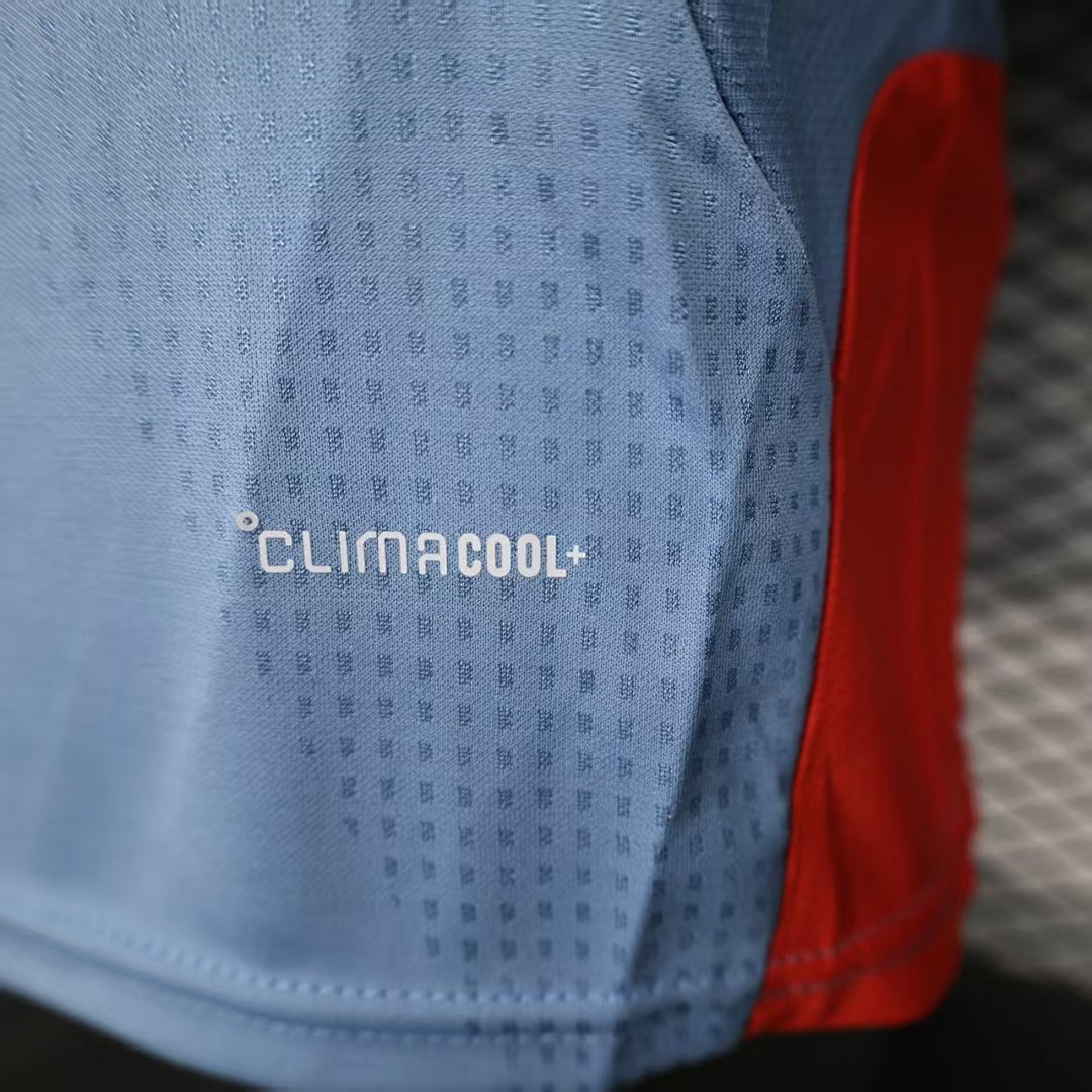 Japan Away Player Version Soccer Jersey
