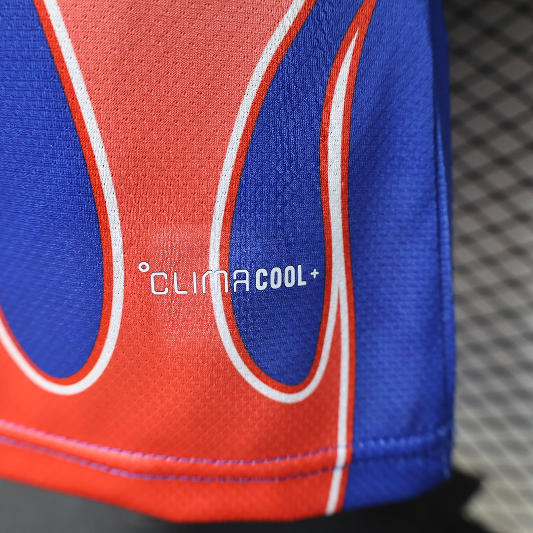 Japan Player Version Soccer Jersey Special Edition