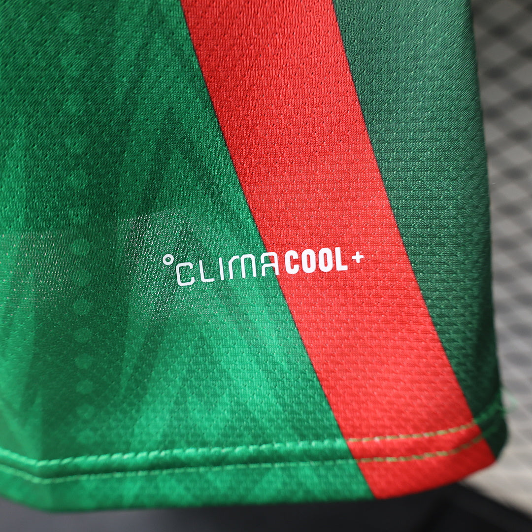 Mexico Player Version Soccer Jersey Special Edition