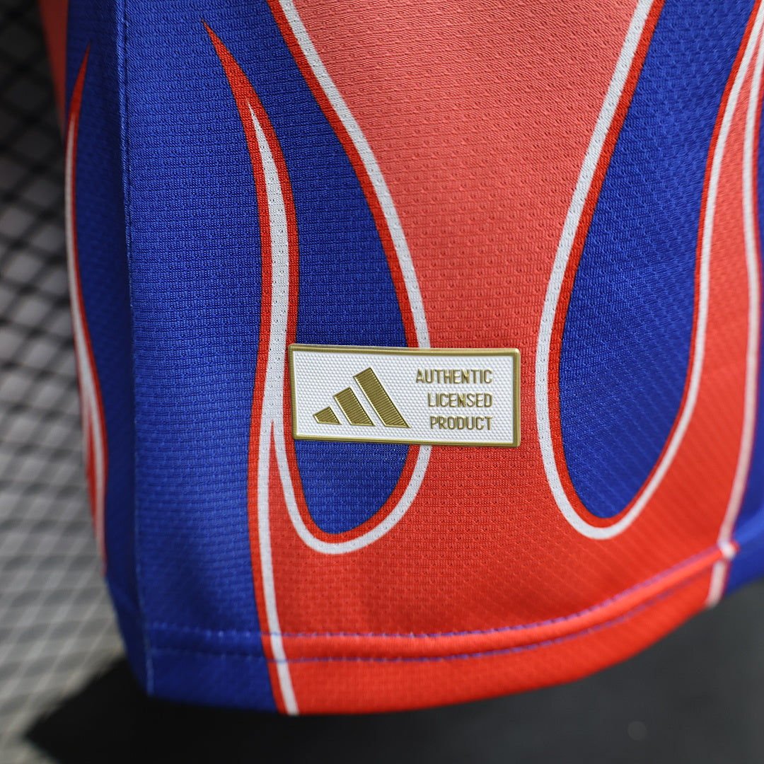 Japan Player Version Soccer Jersey Special Edition