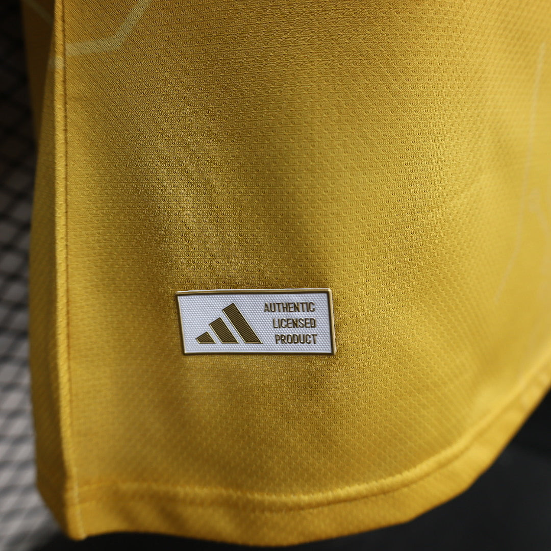 Argentina Player Version Soccer Jersey Special Edition
