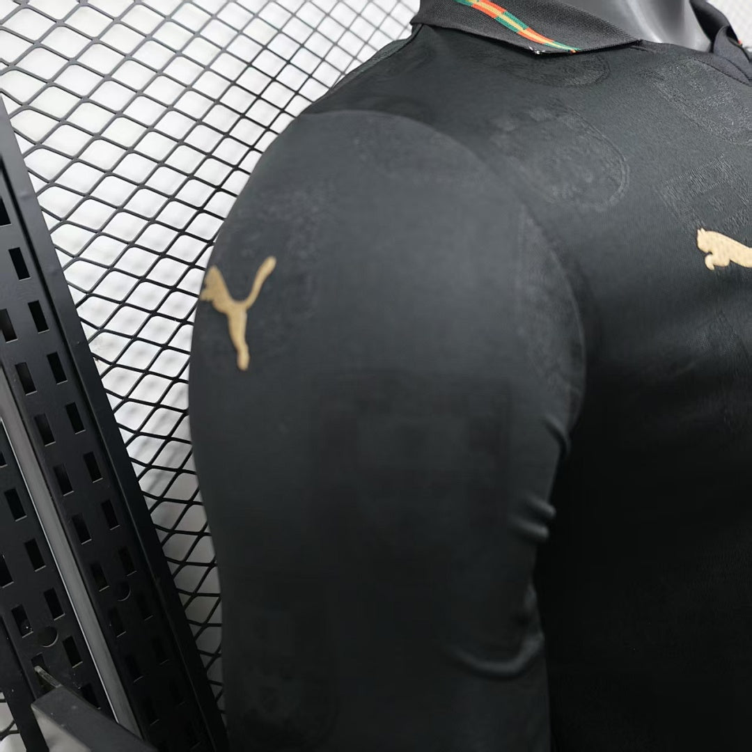 Portugal Soccer Jersey Special Edition Long Sleeve