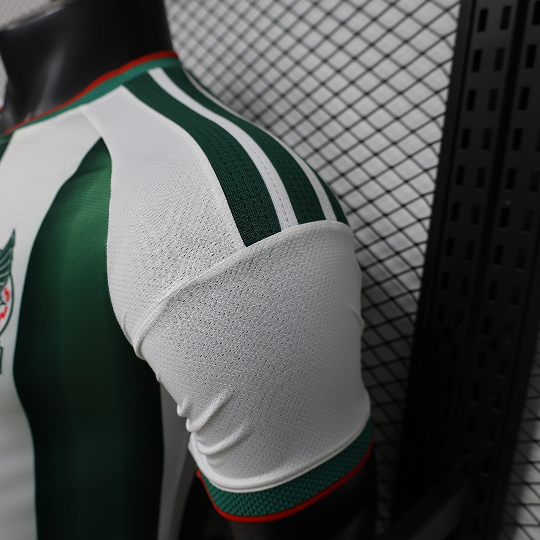 Mexico Player Version Soccer Jersey Special Edition