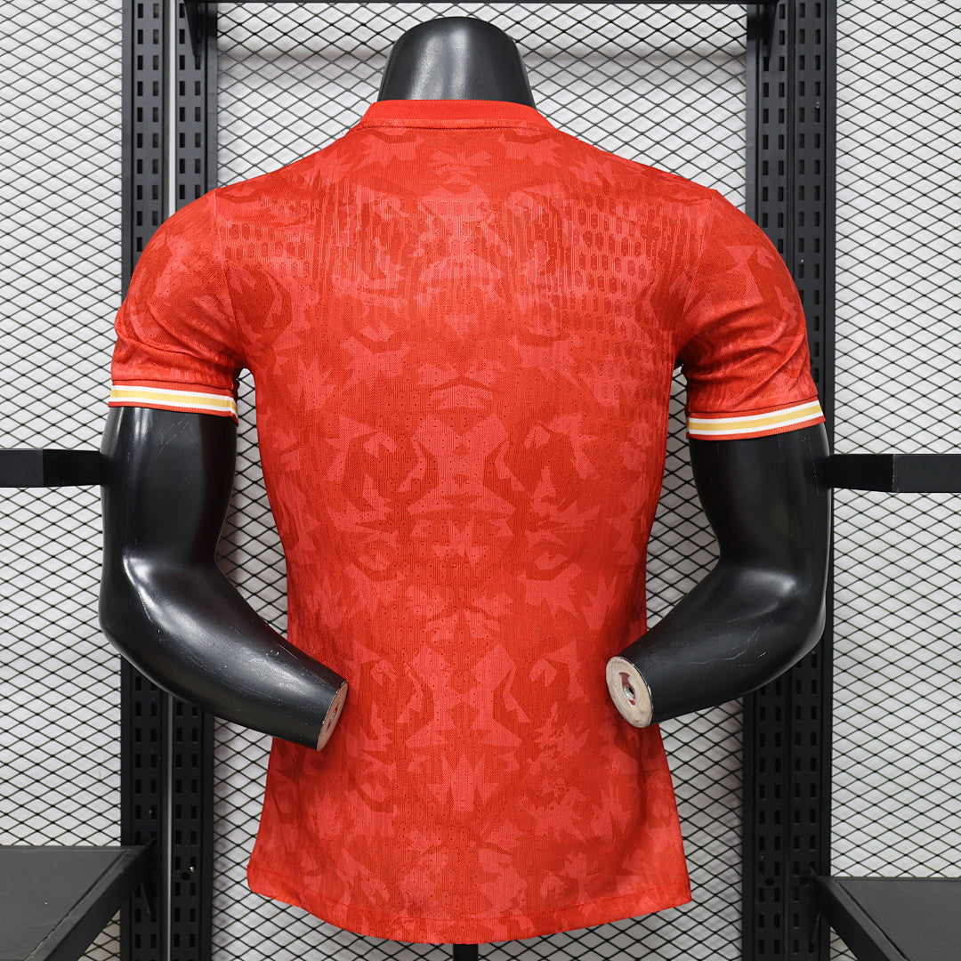Netherlands Soccer Jersey Special Edition
