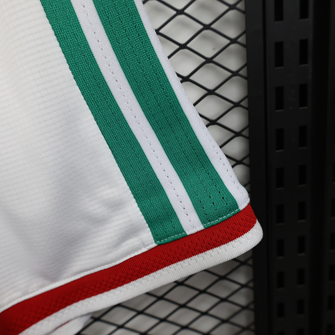 Mexico Player Version Soccer Shorts Shorts