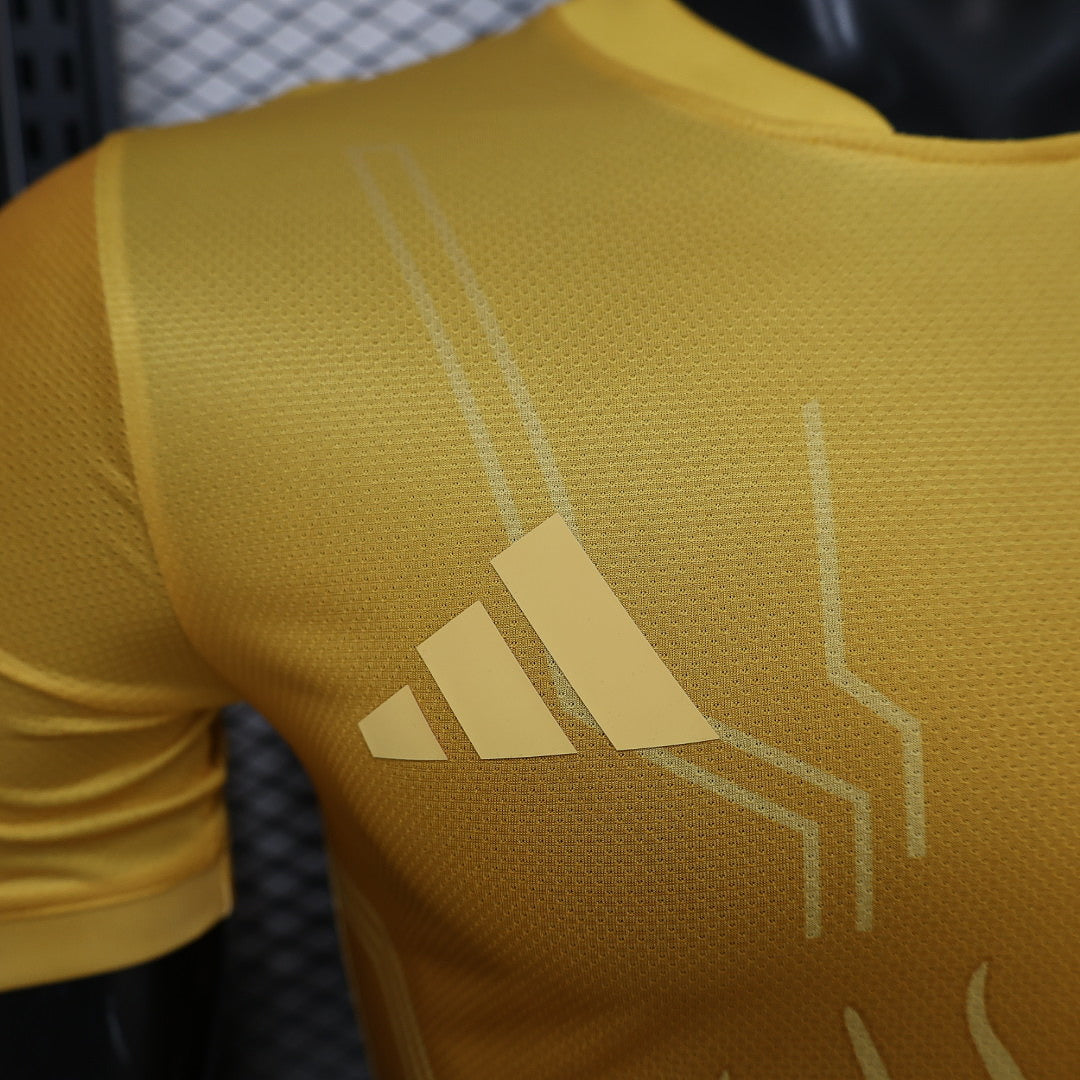 Argentina Player Version Soccer Jersey Special Edition