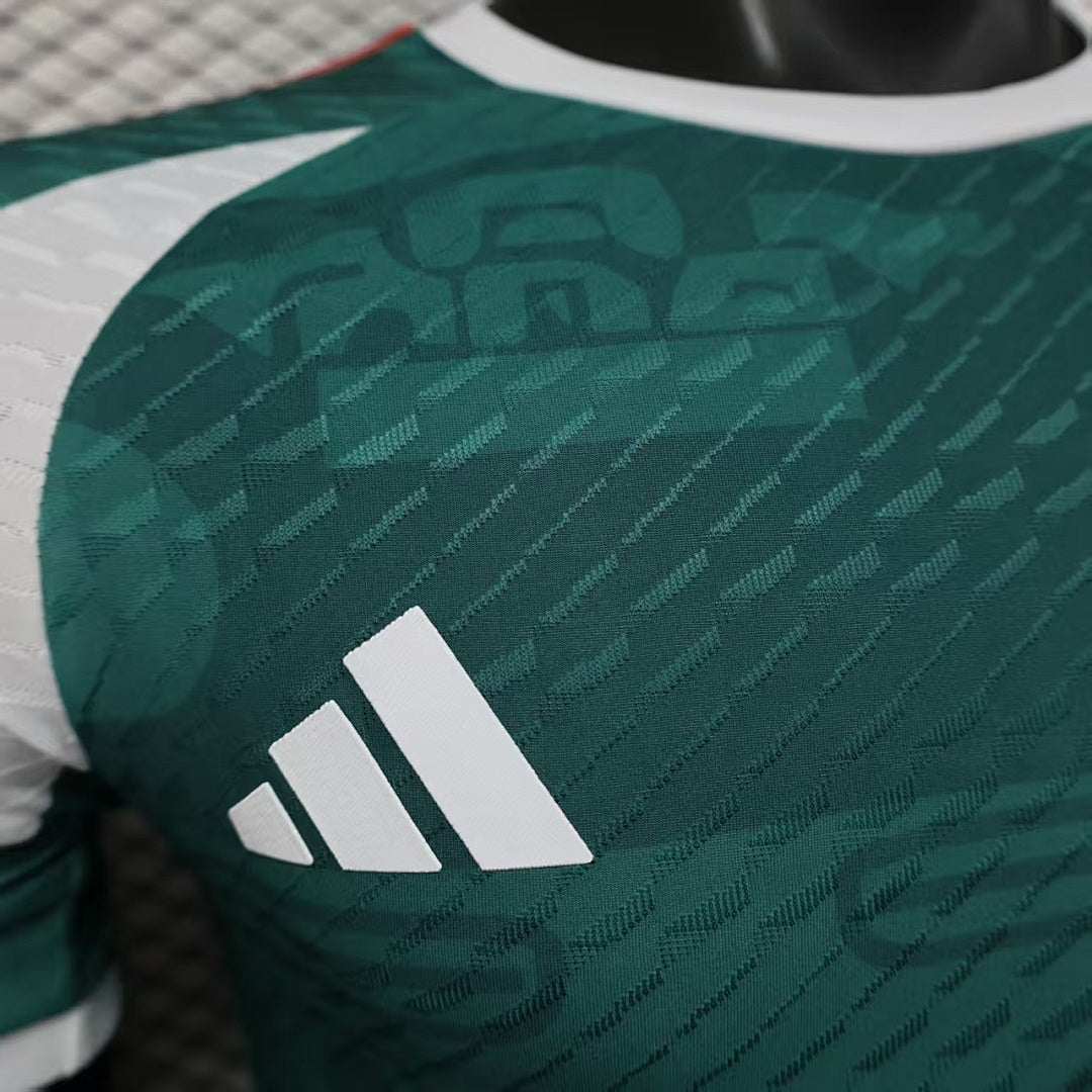 Mexico Player Version Soccer Jersey Special Edition