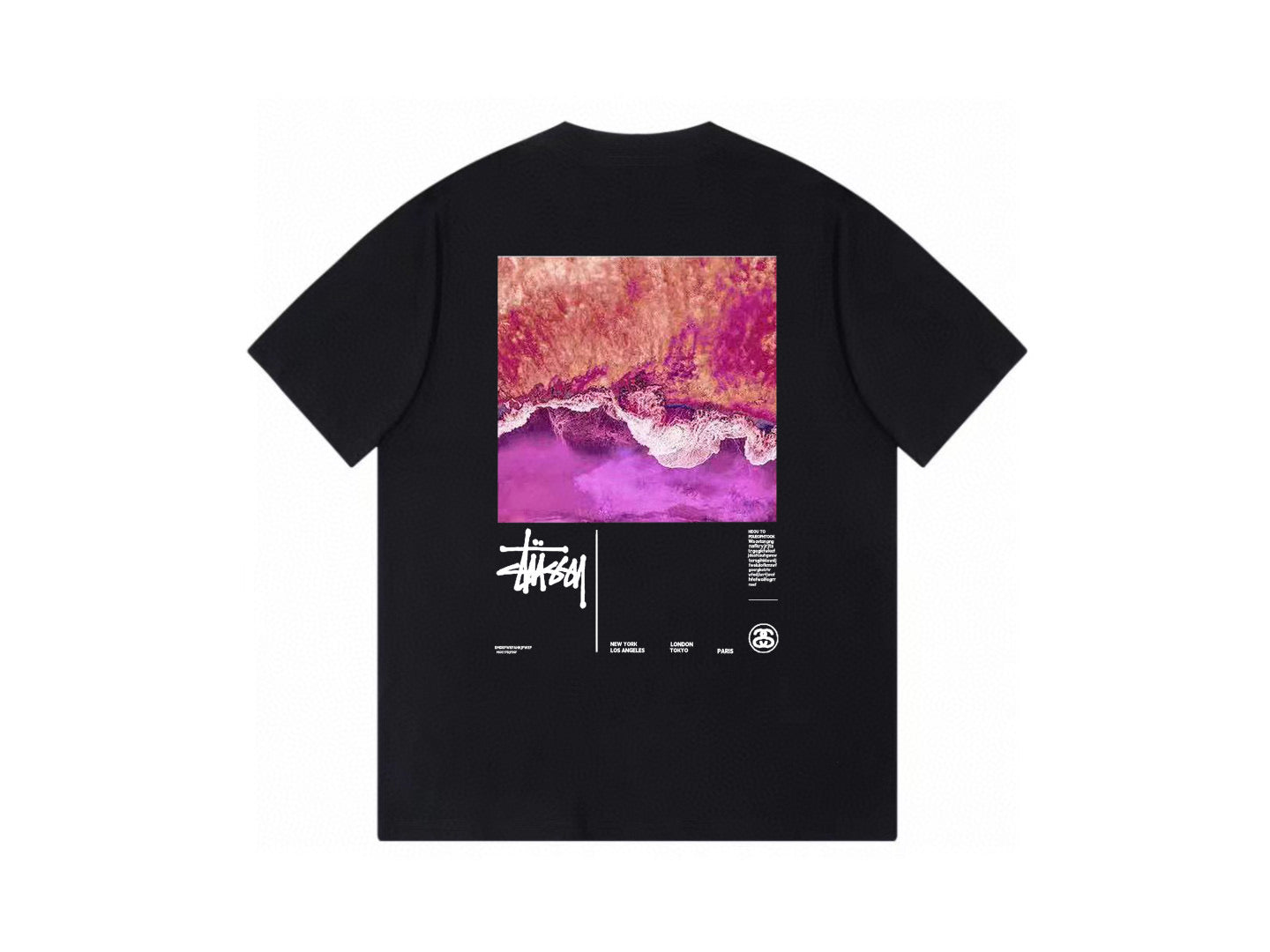 Stussy Abstract Pink Landscape Graphic T-Shirt Black